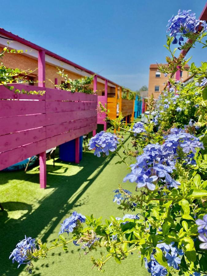 Hotel Acajou Argeles-sur-Mer Bagian luar foto